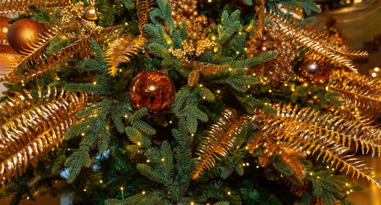 Christmas at Casa Hotel in Chesterfield