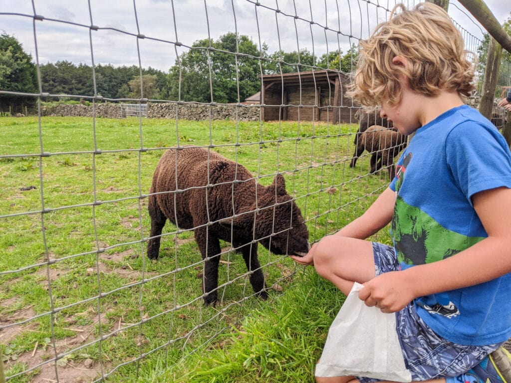 Kids enjoying a family day out in the Peak District