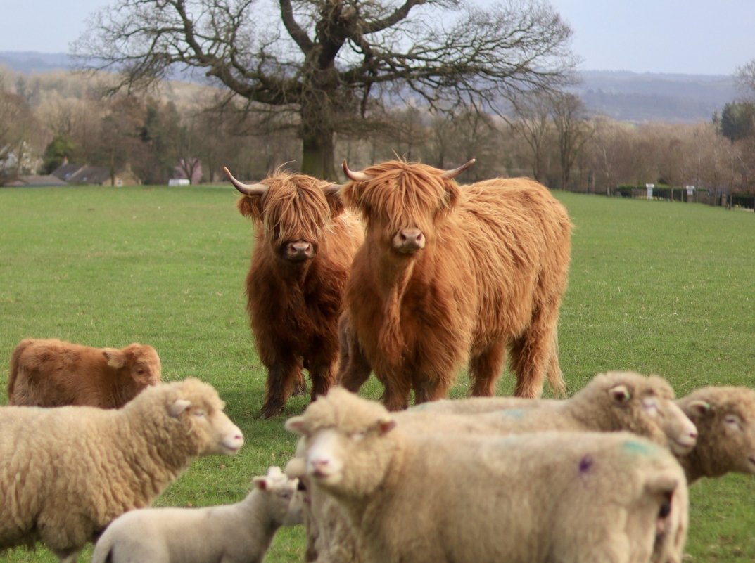 Walton Lodge farm | Derbyshire Chesterfield | Green Tourism